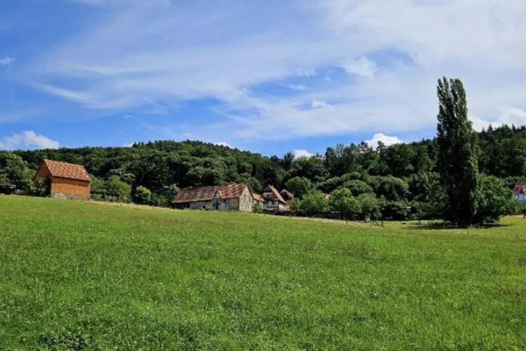 Corps De Ferme Traditionnel Lembach Kültér fotó